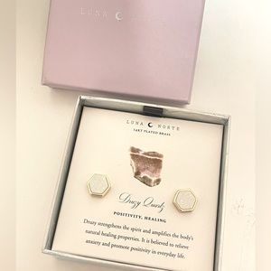 NWT Luna Norte Stud Earrings